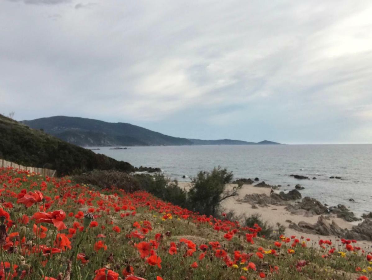 Grand appartement style loft bord de mer Propriano  Buitenkant foto